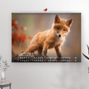 Loading image...